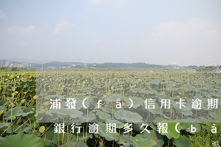 浦發(fā)信用卡逾期短信(浦發(fā)銀行逾期多久報(bào)人民銀行金融信用信息)