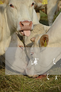 浦發(fā)信用卡逾期結(jié)案注銷(xiāo)(浦發(fā)信用卡逾期給我銷(xiāo)卡了)