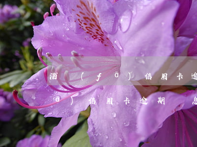 浦發(fā)信用卡逾期罰息減免(浦發(fā)信用卡逾期罰息是多少)