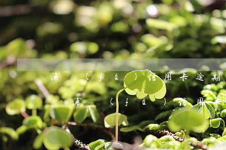 浦發(fā)信用卡逾期老是打電話怎么接-浦發(fā)信用卡逾期老是打電話怎么接電話