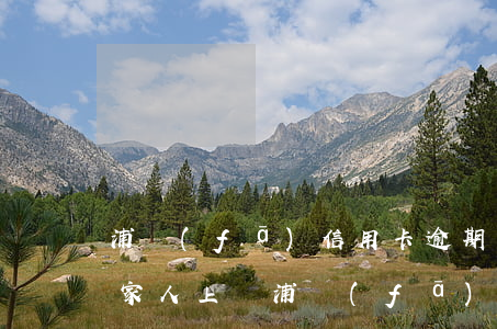 浦發(fā)信用卡逾期聯(lián)系家人上門(浦發(fā)信用卡5萬逾期打電話)