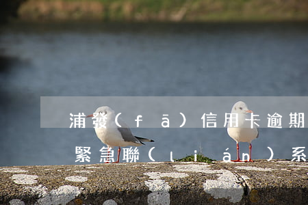 浦發(fā)信用卡逾期聯(lián)系緊急聯(lián)系人(浦發(fā)信用卡逾期聯(lián)系緊急聯(lián)系人)