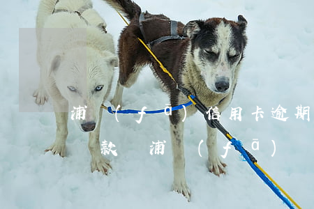 浦發(fā)信用卡逾期能協(xié)商還款嗎(浦發(fā)沒逾期協(xié)商成功后還上征信說逾期嗎)