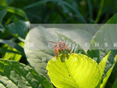 浦發(fā)信用卡逾期能申請房貸嗎(有房貸逾期可以辦理信用卡嗎)