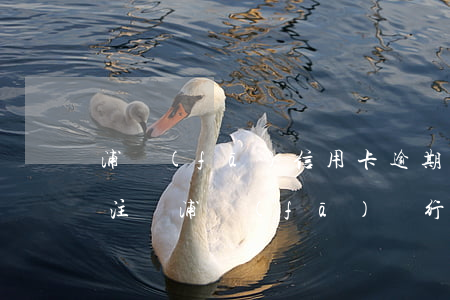 浦發(fā)信用卡逾期自動(dòng)注銷(浦發(fā)銀行卡自動(dòng)注銷)
