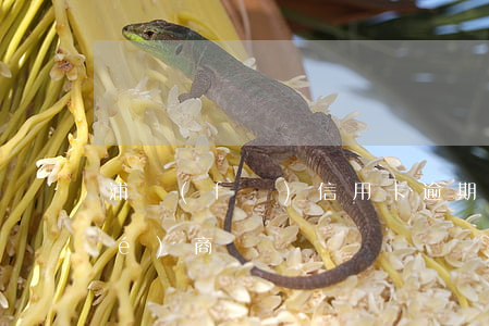 浦發(fā)信用卡逾期自己怎么協(xié)商視頻
