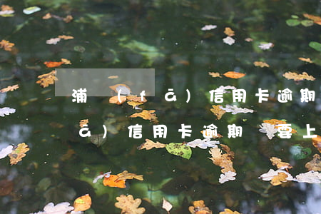 浦發(fā)信用卡逾期被上門6(浦發(fā)信用卡逾期說要上門收 是的還是假的)