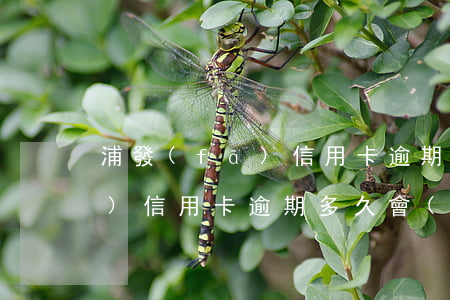 浦發(fā)信用卡逾期被撤案(浦發(fā)信用卡逾期多久會(huì)被起訴欠款七千多)