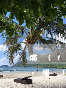 浦發(fā)信用卡逾期被注銷了怎么查詢-浦發(fā)信用卡逾期被注銷了怎么查詢賬單