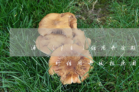 浦發(fā)信用卡逾期被管制(浦發(fā)銀行信用卡被拒原因)