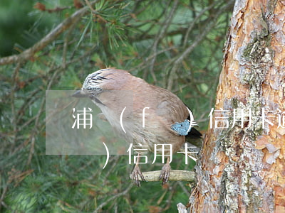 浦發(fā)信用卡逾期被起訴的(浦發(fā)信用卡 訴訟)