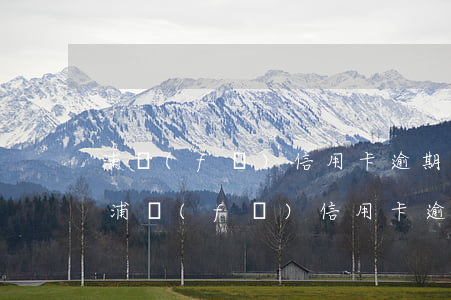 浦發(fā)信用卡逾期要報(bào)案(浦發(fā)信用卡逾期要報(bào)案嘛)