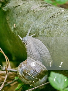 浦發(fā)信用卡逾期要封存財(cái)產(chǎn)(浦發(fā)銀行卡會(huì)過期嗎)