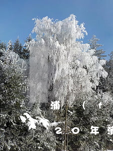 浦發(fā)信用卡逾期要求征信止付 2020年浦發(fā)信用卡逾期政策