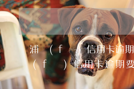 浦發(fā)信用卡逾期要移交派出所(浦發(fā)信用卡逾期要移交派出所)