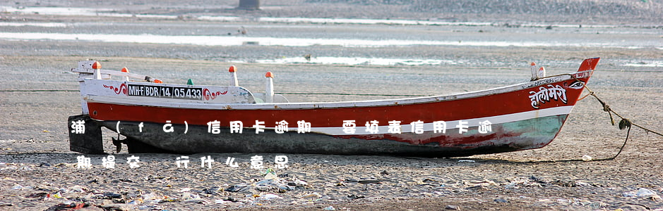 浦發(fā)信用卡逾期說要填表(信用卡逾期提交總行什么意思)