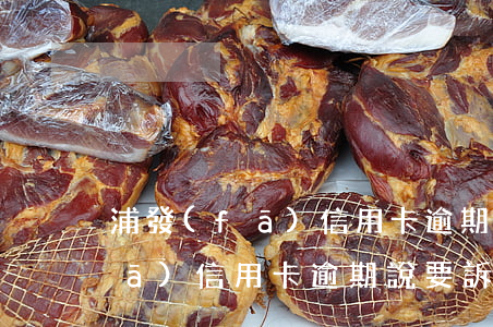浦發(fā)信用卡逾期說要訴訟(浦發(fā)信用卡逾期說要訴訟通知家里人)
