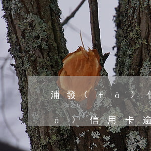 浦發(fā)信用卡逾期說要面談(浦發(fā)信用卡逾期3個月 客服打電話說要起訴)