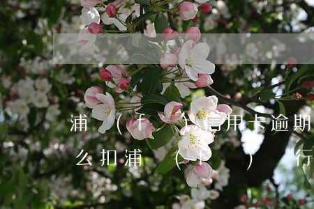 浦發(fā)信用卡逾期費(fèi)用怎么扣(浦發(fā)銀行逾期利息和違約金能退回來嗎)