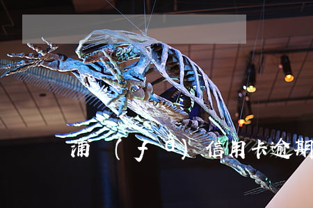 浦發(fā)信用卡逾期費用減免