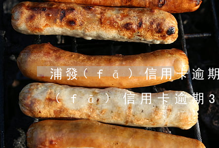 浦發(fā)信用卡逾期起訴報警了(欠浦發(fā)信用卡逾期3個月了說要起訴我)