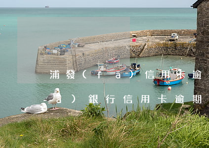 浦發(fā)信用卡逾期起訴程序(浦發(fā)銀行信用卡逾期起訴案例)