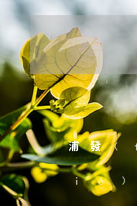浦發(fā)信用卡逾期通過法院好協(xié)商嗎-浦發(fā)信用卡逾期通過法院好協(xié)商嗎知乎