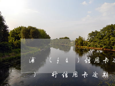 浦發(fā)信用卡逾期過三次(浦發(fā)銀行信用卡 逾期)