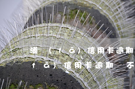 浦發(fā)信用卡逾期過不能分期(浦發(fā)信用卡逾期過不能分期)