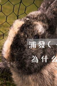 浦發(fā)信用卡逾期違約金可以減免嗎(為什么信用卡逾期還可以有減免)