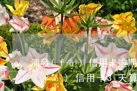 浦發(fā)信用卡逾期違約金合理嗎 浦發(fā)信用卡3天算逾期嗎