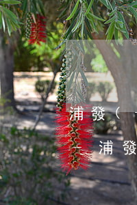 浦發(fā)信用卡逾期違約金怎么計算的-浦發(fā)信用卡逾期違約金怎么計算的呢