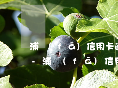 浦發(fā)信用卡逾期還上全款還能用嗎-浦發(fā)信用卡逾期還上全款還能用嗎知乎