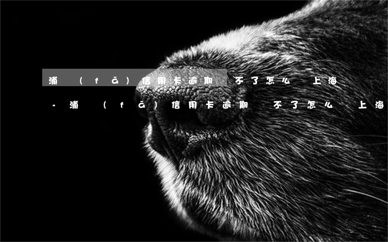 浦發(fā)信用卡逾期還不了怎么辦上海-浦發(fā)信用卡逾期還不了怎么辦上海房貸