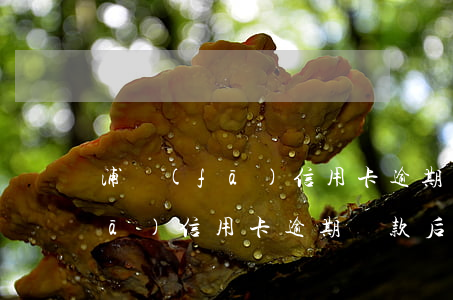 浦發(fā)信用卡逾期還不起了(浦發(fā)信用卡逾期還款后不能使用了怎么辦)