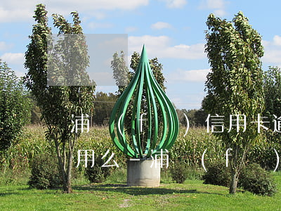 浦發(fā)信用卡逾期還了卡受限制還能用么-浦發(fā)信用卡逾期還了卡受限制還能用么嗎