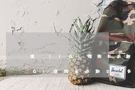 浦發(fā)信用卡逾期還款一次(浦發(fā)信用卡逾期2萬多3個月,如何協(xié)商還款)