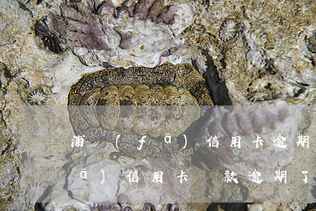 浦發(fā)信用卡逾期還款受限(浦發(fā)信用卡還款逾期了一天,會不會影響信譽)