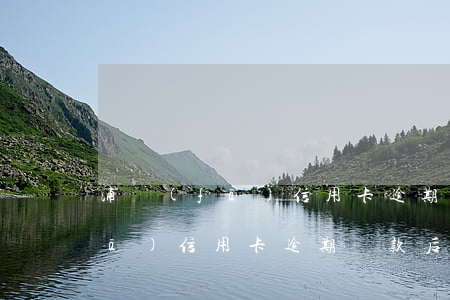 浦發(fā)信用卡逾期還款后6(浦發(fā)信用卡逾期還款后多久恢復(fù))