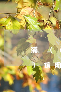 浦發(fā)信用卡逾期還款嗎(浦發(fā)信用卡逾期違約金可以申請不還嗎)