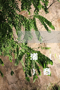 浦發(fā)信用卡逾期還款能協(xié)商嗎-浦發(fā)逾期三個月就不能協(xié)商還款了嗎?
