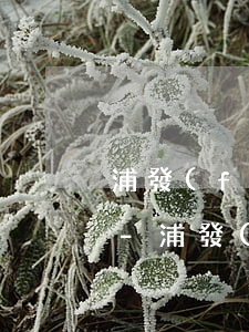 浦發(fā)信用卡逾期還清多久可以申請-浦發(fā)信用卡逾期還清多久可以申請分期還款