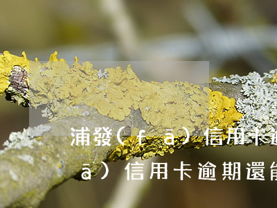 浦發(fā)信用卡逾期還能刷嗎(浦發(fā)信用卡逾期還能刷嗎知乎)