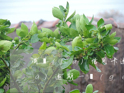 浦發(fā)信用卡逾期還能辦嗎(浦發(fā)逾期一個(gè)多月還了 什么時(shí)候可以用)