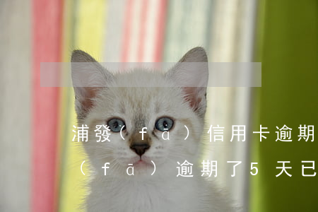 浦發(fā)信用卡逾期還能還最低嗎 浦發(fā)逾期了5天,已經(jīng)還清最低還款額,要求全部還掉