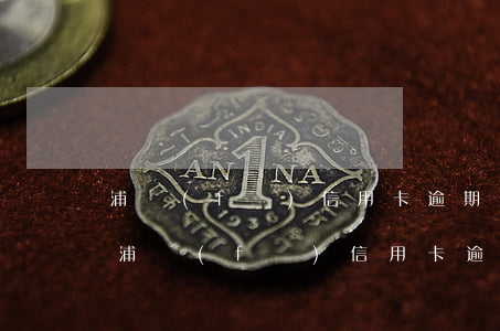 浦發(fā)信用卡逾期還錢后怎樣解凍-浦發(fā)信用卡逾期還錢后怎樣解凍賬戶