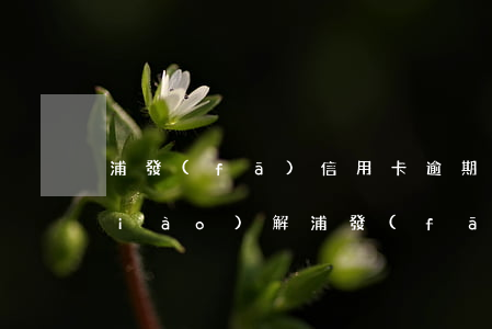 浦發(fā)信用卡逾期銀行不同意調(diào)解(浦發(fā)銀行二次協(xié)商后又逾期可以協(xié)商嘛)