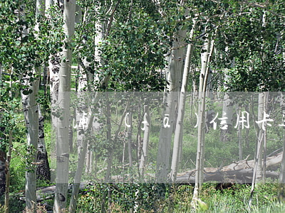 浦發(fā)信用卡逾期開病歷