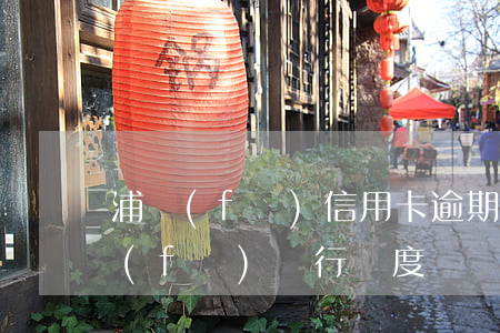浦發(fā)信用卡逾期額度被鎖死6(浦發(fā)銀行額度鎖)