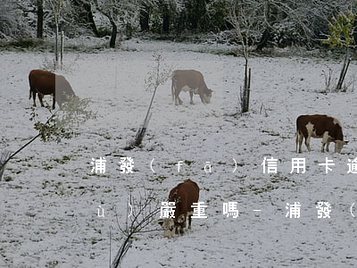 浦發(fā)信用卡逾期額度變負數(shù)嚴重嗎-浦發(fā)信用卡逾期額度變負數(shù)嚴重嗎怎么辦